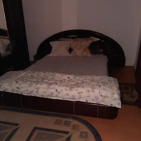 Casa Mihaela *